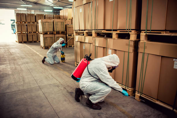 Best Best Pest Control Companies  in Nebo, NC