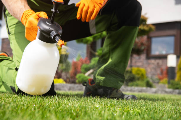 Reliable Nebo, NC Pest Control Solutions