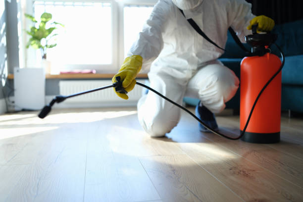 Best Pest Prevention Services  in Nebo, NC